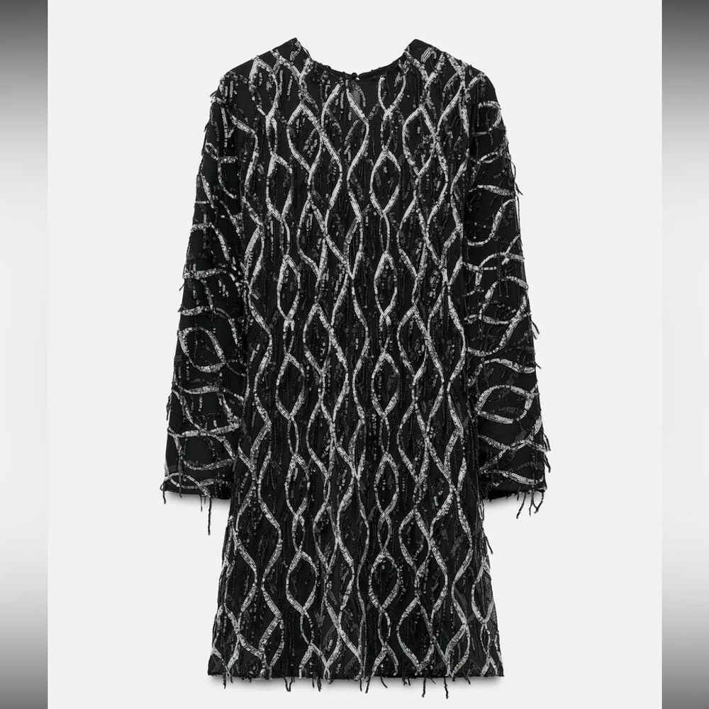 ZARA MINI DRESS WITH FRINGING AND SEQUINS - Picture 11 of 16